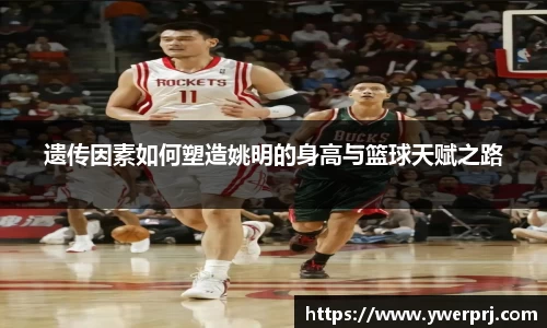 遗传因素如何塑造姚明的身高与篮球天赋之路