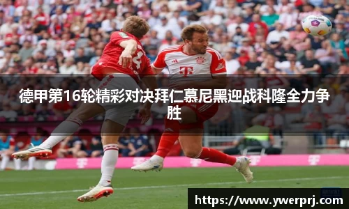 韦德bevictor