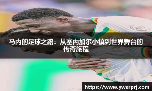 韦德bevictor