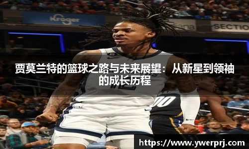 韦德体育