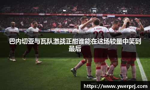 韦德体育