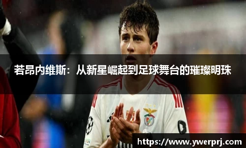 bevictor伟德官方网站